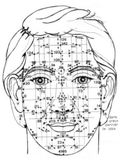 le dien cham, ou reflexologie faciale